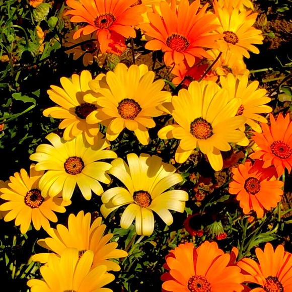 💚💙❤️💛🧡💚💙❤️💛🧡💚💙❤️💛🧡 - Picture 6 of 14